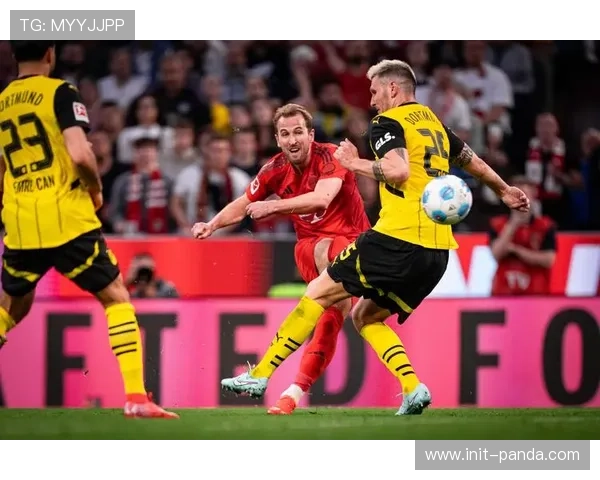 德甲主场积分榜解读：拜仁强势领跑，多特稳健不败