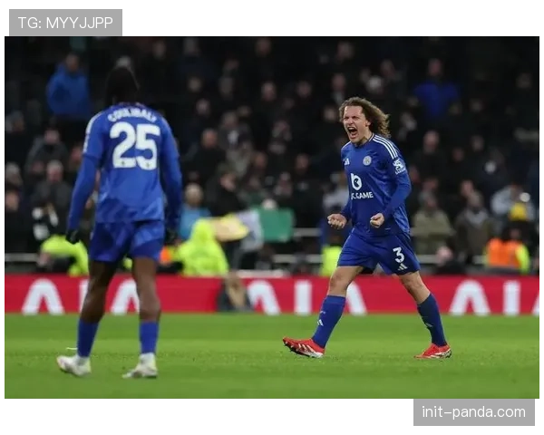 热刺2-1逆转莱斯特城，最后时刻定位球防守失误致胜